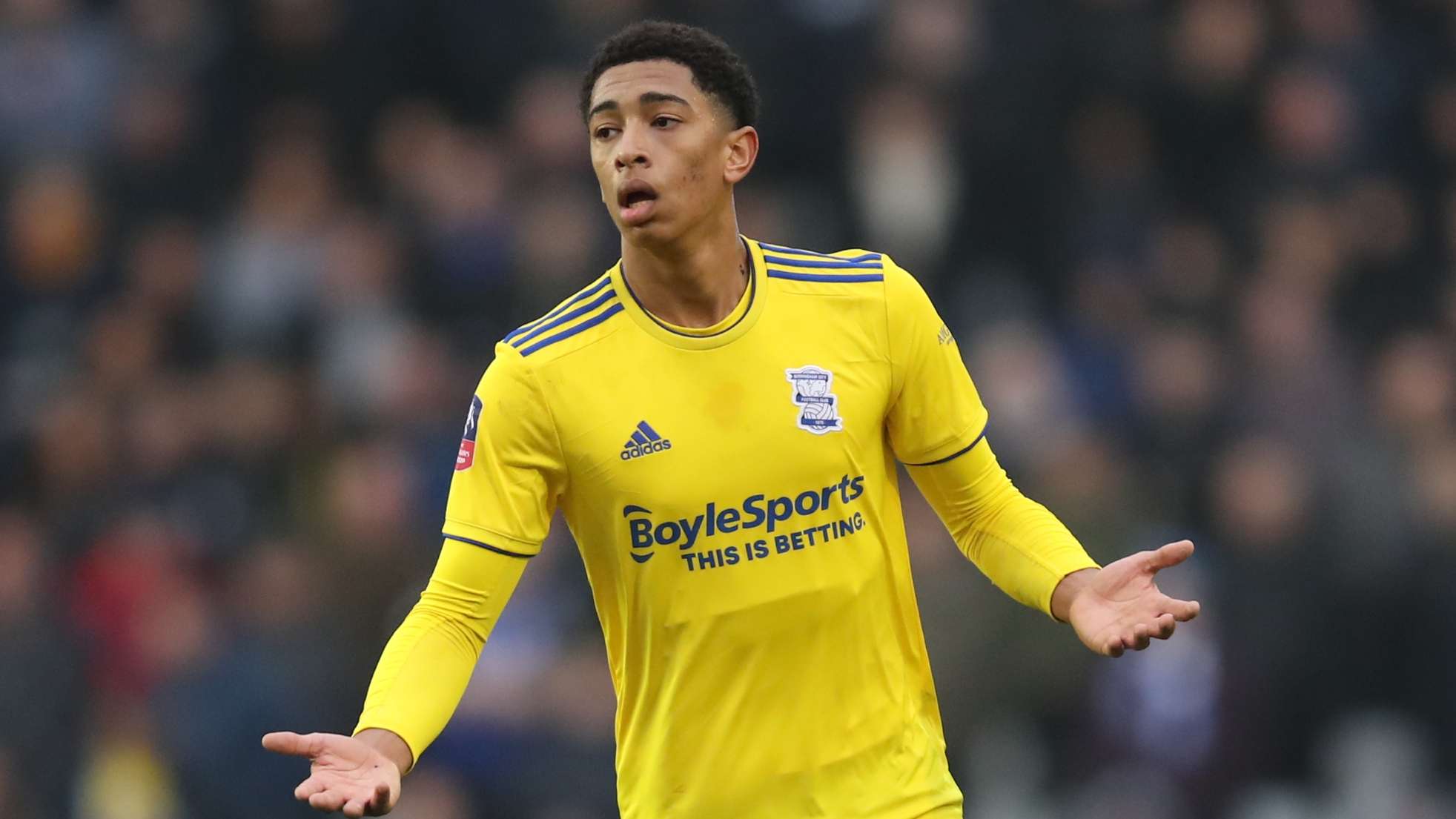 人无法专注 人无法专注