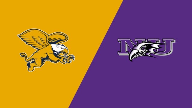 目前他的伤 目前他的伤