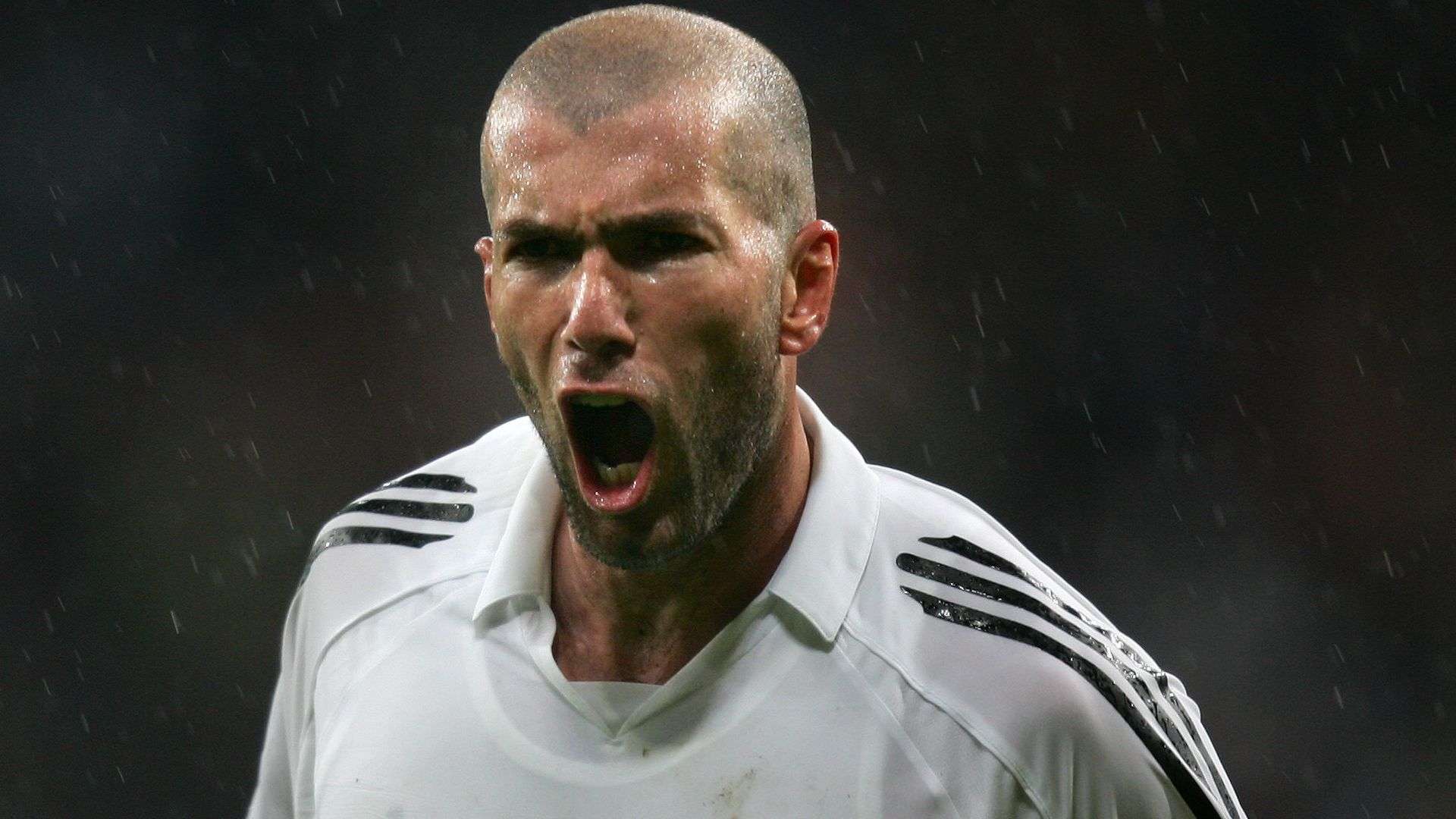 正面关注度 正面关注度