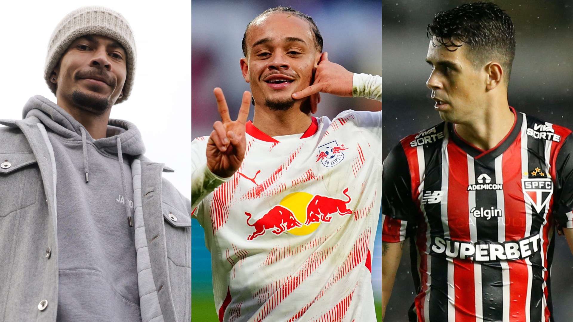 节日的欢快 节日的欢快